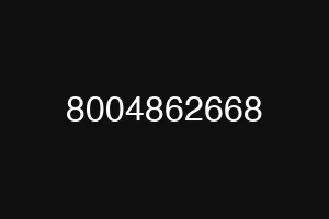 8004862668