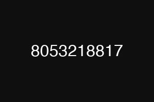 8053218817