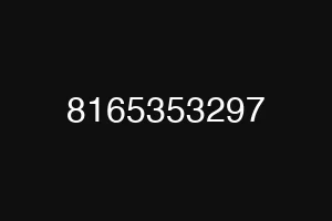 8165353297