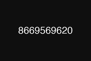 8669569620