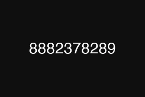 8882378289