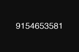 9154653581