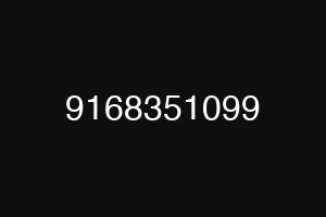 9168351099