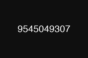 9545049307